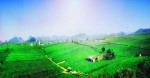 Photo adventure in Moc Chau Plateau