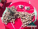 Travelers excitedly attend the fruits festival on Moc Chau Plateau