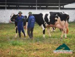 Moc Chau Dairy Miss 2016