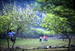 Moc Chau National Tourism Zone development plant ratified