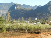 Bùi Thuận