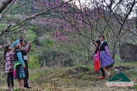 Đinh Phong - Mộc Châu ơi, mùa xuân về