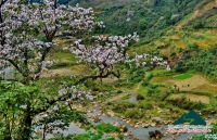 Đinh Phong - Mộc Châu ơi, mùa xuân về