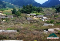Hữu Thiện - Ngất ngây đào Mộc Châu