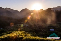 Mộc Châu rực rỡ nắng xuân - Huy Hòa
