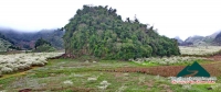 Xuân Mộc Châu - Minh Phóng