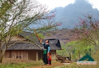 Xuân Mộc Châu - Minh Phóng