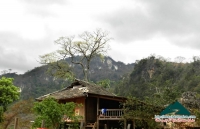 Hoa ban mùa xuân - Thùy Nhung