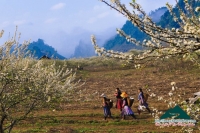 Xuân về trên bản Mông - Đinh Phong