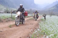 Phuợt Mộc Châu