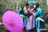 Quang Đức Xuân
