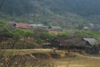Sắc hoa Mộc Châu - Quang Đức
