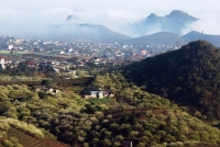 Sắc hoa Mộc Châu - Quang Đức