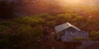 Sắc hoa Mộc Châu - Quang Đức